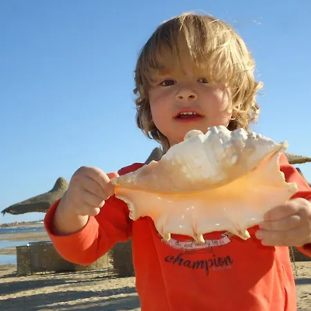 Alexander 公寓 因斯布鲁克