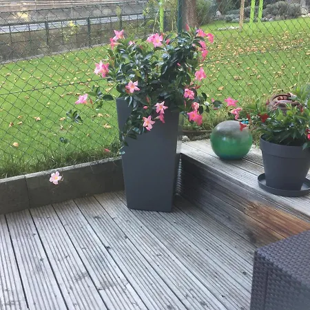 Apartmán Alexander *